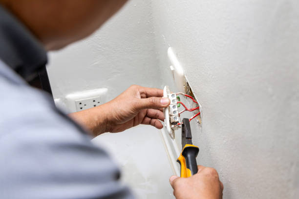 Best Electric Panel Repair  in Archbold, OH